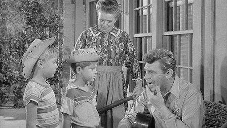 the andy griffith show on netflix